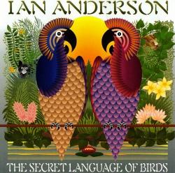 ANDERSON,IAN - SECRET LANGUAGE OF BIRDS