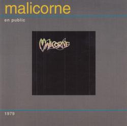 MALICORNE - EN PUBLIC