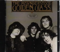 MISUNDERSTOOD - GOLDEN GLASS