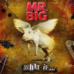 MR.BIG - WHAT IF...