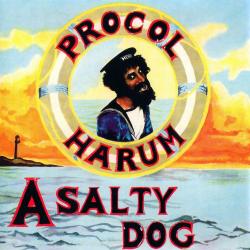 PROCOL HARUM - SALTY DOG