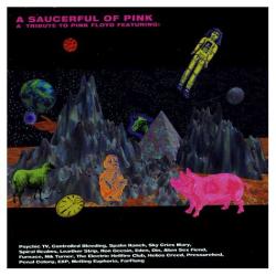 SAUCERFUL OF PINK TRIBUTE TO PINK FLOYD - VARIOUS (2CD)