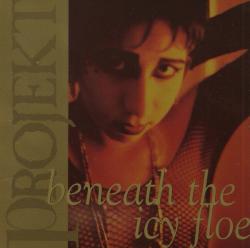 BENEATH THE ICY FLOE - VARIOUS