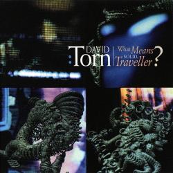 TORN,DAVID - WHAT MEANS SOLID, TRVELLER