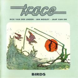 TRACE - BIRDS