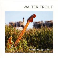 TROUT,WALTER - COMMON GROUND (LP)