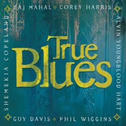 TRUE BLUES - VARIOUS