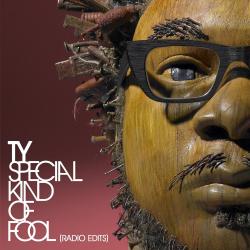 TY - SPECIAL KIND OF FOOL