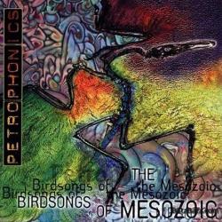 BIRDSONGS OF THE MESOZOIC - PETROPHONICS