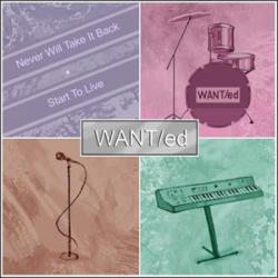 WANT\ED - NEVER WILL TAKE...\START TO LIVE (MAXI CD5)