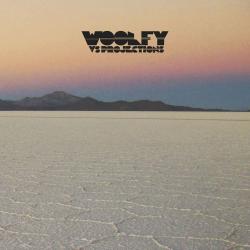 WOOLFY VS PROJECTIONS - STATIONS (LP, CD)