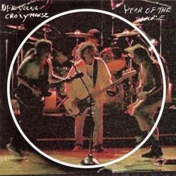 YOUNG,NEIL - YEAR OF THE HORSE (2CD)