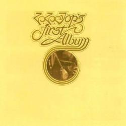 ZZ TOP - FIRST ALBUM