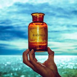 BLACKFIELD - V (2LP)