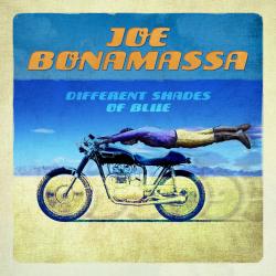 BONAMASSA,JOE - DIFFERENT SHADES OF BLUE LP