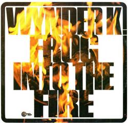 K.FROG,WYNDER - INTO THE FIRE (LP)