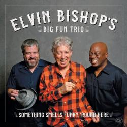 BISHOP,ELVIN - SOMETHING SMELLS FUNKY 'ROUND HERE