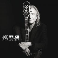 WALSH,JOE - ANALOG MAN