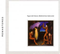 PENGUIN CAFE ORCHESTRA - BROADCASTING FROM HOME