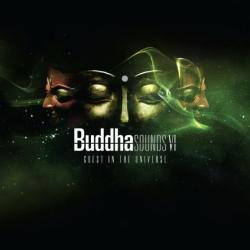 BUDDHA SOUNDS VI - GUEST IN THE UNIVERSE