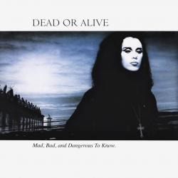 DEAD OR ALIVE - MAD, BAD AND DANGEROUS TO KNOW (LP)