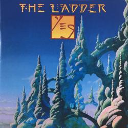 YES - LADDER