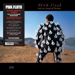 PINK FLOYD - DELICATE SOUND OF THUNDER (2LP)
