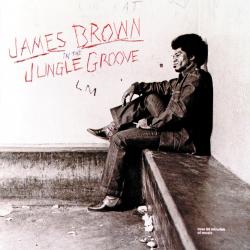 BROWN,JAMES - IN THE JUNGLE GROOVE (SALE)