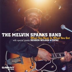 SPARKS,MELVIN - WHAT YOU HEAR IS WHAT YOU GET