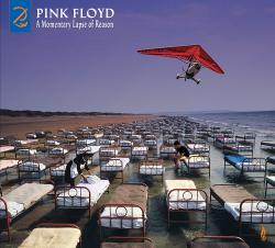 PINK FLOYD - MOMENTARY LAPSE OF REASON (2LP)