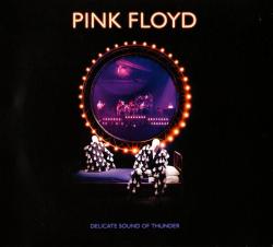 PINK FLOYD - DELICATE SOUND OF THUNDER (2CD)