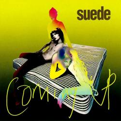 SUEDE - COMING UP (SALE)