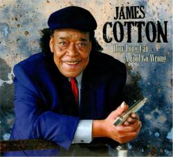 COTTON,JAMES - HOW LONG CAN A FOOL GO WRONG (2CD) SALE