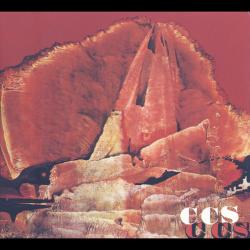 CCS - CCS (SALE)