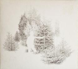 BARR - SKOGSBO IS THE PLACE