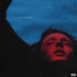 TROYE SIVAN - IN A DREAM (LP)