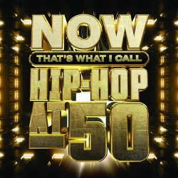 NOW THAT'S WHAT I CALL HIP-HOP AT 50 - VARIOUS (2LP) LTD. black ice