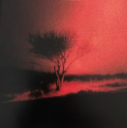 JOJI - PISS IN THE WIND