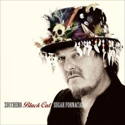ZUCCHERO - BLACK CAT Sugar fornaciari