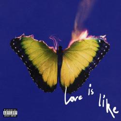 MAROON 5 - LOVE IS LIKE (LP) orange