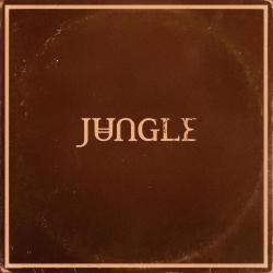 JUNGLE - SUNSHINE (LP)
