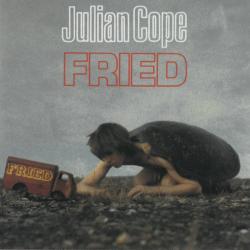 COPE,JULIAN - FRIED