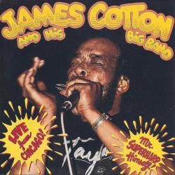 COTTON,JAMES - LIVE FROM CHICAGO