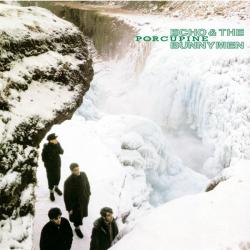 ECHO & THE BUNNYMEN - PORCUPINE