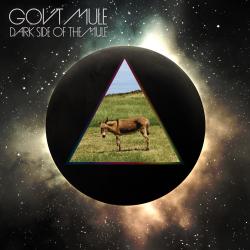 GOV'T MULE - DARK SIDE OF THE MULE