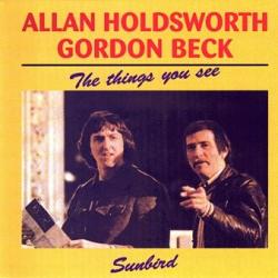 HOLDSWORTH,ALLAN \BECK,GORDON - THINGS YOU SEE